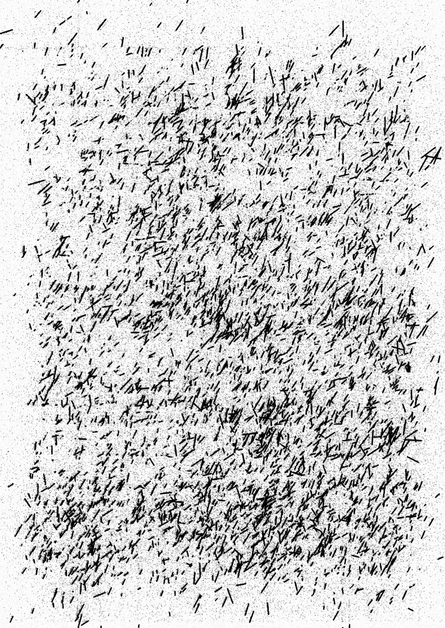 Paramorpheous Detail 4